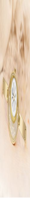 WHITE BIRD Women's Stylish Dail Analog Premium Analog Wrist Watch